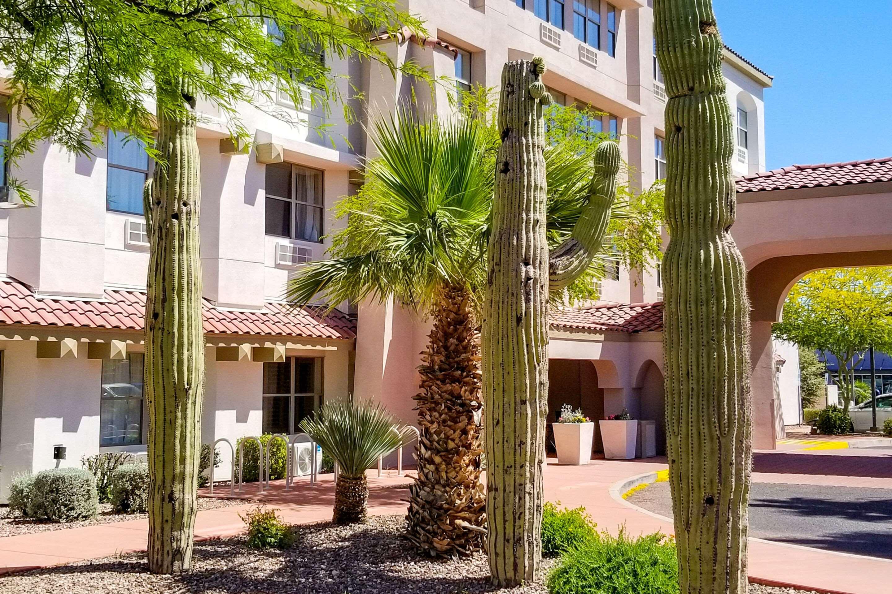 Comfort Inn & Suites Tempe Phoenix Sky Harbor Airport Extérieur photo